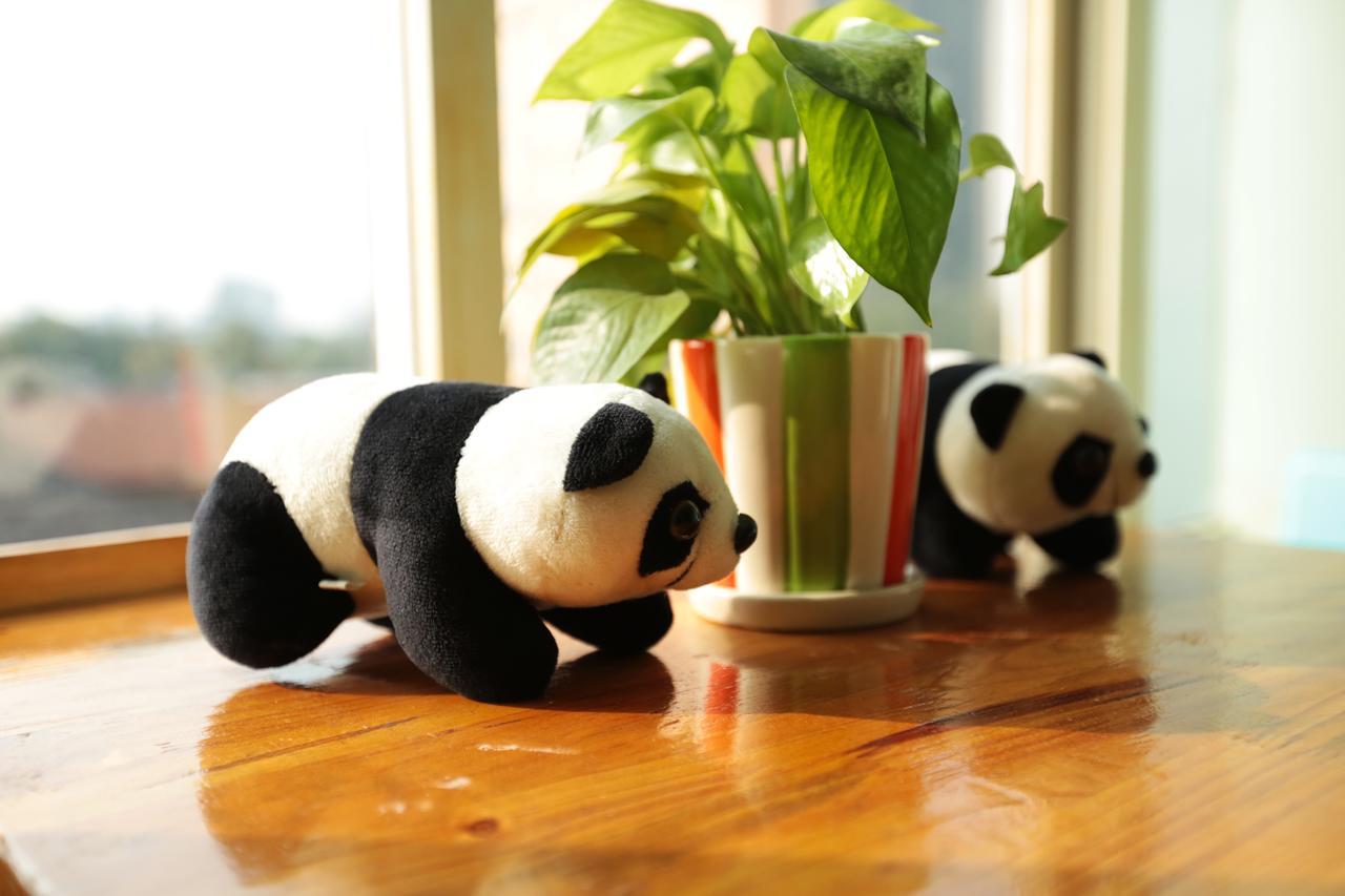 Xishu Garden Inn Chengdu Luaran gambar